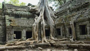 Siem Reap